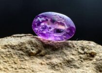 Rare biblical ‘balsam tree’ found depicted on 2000-year-old amethyst seal