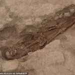 The human remains of 29 people buried as offerings in a pre-Inca temple were found at the Huaca Santa Rosa de Pucalá excavation site The human remains of 29 people buried as offerings in a pre-Inca temple were found at the Huaca Santa Rosa de Pucalá excavation site