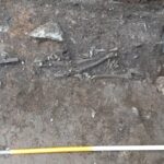 Skeletal remains of six people found underneath old Irish pub Skeletal remains of six people found underneath old Irish pub