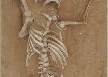 Mystery of a man who died 1,300 years ago in China is SOLVED - and experts say it was murder