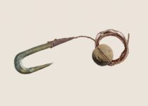 Line and hook fishing techniques in Epipaleolithic Israel