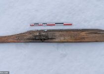 Archaeologists discover 1,300-year-old ski trapped in Norwegian ice