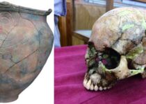 Ancient DNA rewrites early Japanese history—modern-day populations have tripartite genetic origin