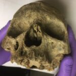 'Oldest' British Skull Found to Be a Decapitated Woman from the Norman Conquest