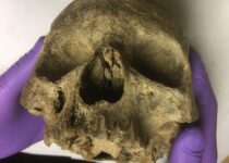 'Oldest' British Skull Found to Be a Decapitated Woman from the Norman Conquest