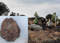 Palaeontologists Unearth Dozens of Giant Dinosaur Eggs in Fossilized Nest in Spain