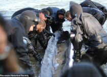 'Remarkable' 1,200-Year-Old Native American Canoe Found in Wisconsin Lake to Be Preserved
