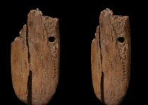 40,000-BC mammoth ivory pendant is the oldest decorated jewellery found in Eurasia, Says Study