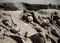 Archaeologists discover mass grave in ancient Greek cemetery filled with EIGHTY skeletons shackled together by iron chains