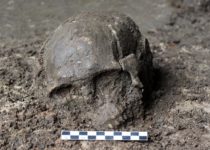 Important Missing Piece of Human History Uncovered From Ancient DNA