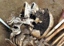 Ancient DNA study reveals large-scale migrations into Bronze Age Britain