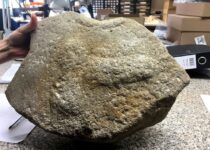 2,000-year-old Roman millstone found with massive penis engraved on it