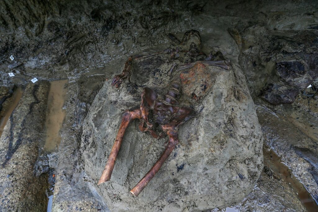 Skeletal remains