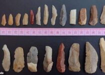 Archaeology: More than 1,200 Mesolithic tools unearthed along Aberdeenshire river