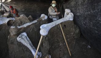 At least 200 mammoth skeletons found at Mexico City airport construction site