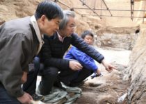 Western Han Dynasty Tomb Identified in Northwest China