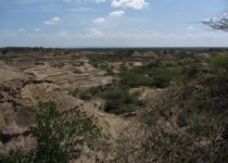 Earliest Human Remains in Eastern Africa Dated to More than 230,000 Years Ago