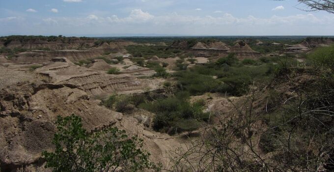 Earliest Human Remains in Eastern Africa Dated to More than 230,000 Years Ago