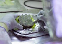 How Ancient Human and Animal DNA Is Preserved in Archaeological Sediments for Thousands of Years