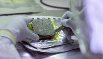 How Ancient Human and Animal DNA Is Preserved in Archaeological Sediments for Thousands of Years