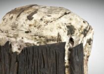 Butter was stored in bogs 3,500 years ago, researchers reveal