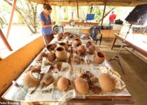 Oldest ever evidence of HONEY is discovered in 3,500-year-old pottery shards