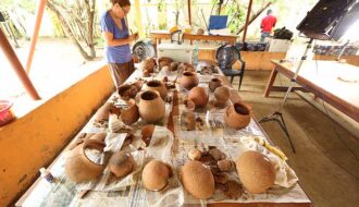 Oldest ever evidence of HONEY is discovered in 3,500-year-old pottery shards