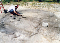 23,000 Years Ago, Humans In Israel Enjoyed A New Bounty Of Food Options