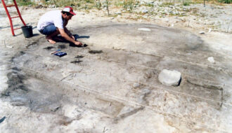 23,000 Years Ago, Humans In Israel Enjoyed A New Bounty Of Food Options