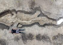 Giant 30-foot ‘sea dragon’ fossil from 180 million years ago discovered in UK