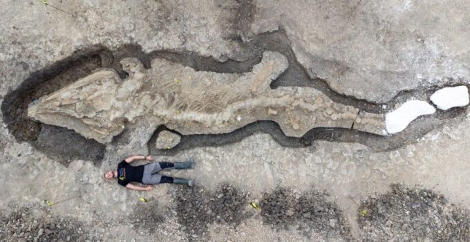 Giant 30-foot ‘sea dragon’ fossil from 180 million years ago discovered in UK
