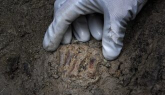Blood-colored skeleton of the 'last fugitive' who dies in 79AD Vesuvius eruption is found