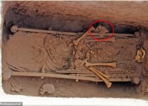 Rare 'bionic' armor discovered in 2,500-year-old China burial