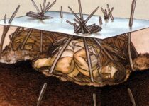 7,000-Year-Old Native American ‘Bog Burial’ Found Off the Coast of Florida