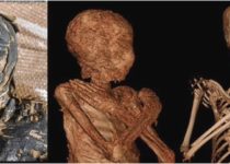 A Pregnant Ancient Egyptian Mummy Has Been Discovered in a Shocking World First