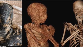 A Pregnant Ancient Egyptian Mummy Has Been Discovered in a Shocking World First