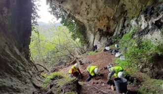 Hungry Badger Accidentally Unearths Hundreds Of Ancient Roman Coins In Spain