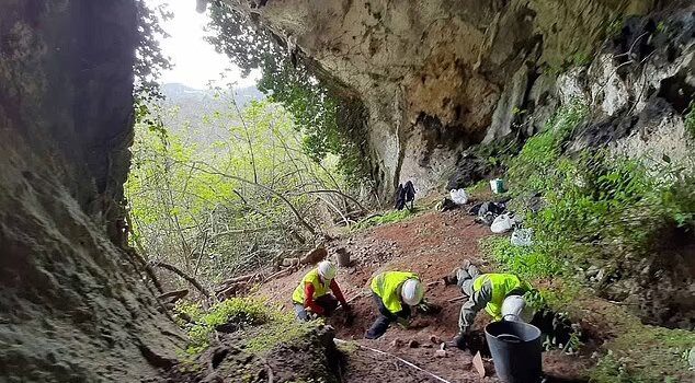 Hungry Badger Accidentally Unearths Hundreds Of Ancient Roman Coins In Spain