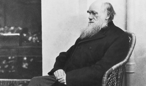 Charles Darwin mystery solved after 140 years as scientists make stunning ancient find 3