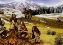 Human Brains Decreased in Size 3,000 Years Ago, New Study Says