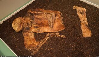 Climate change threatening Britain’s ancient treasure as peat bogs dry out