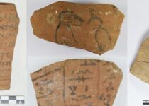 Thousands of 'notepads' found in the ancient city of Athribis reveal details of daily life in Egypt