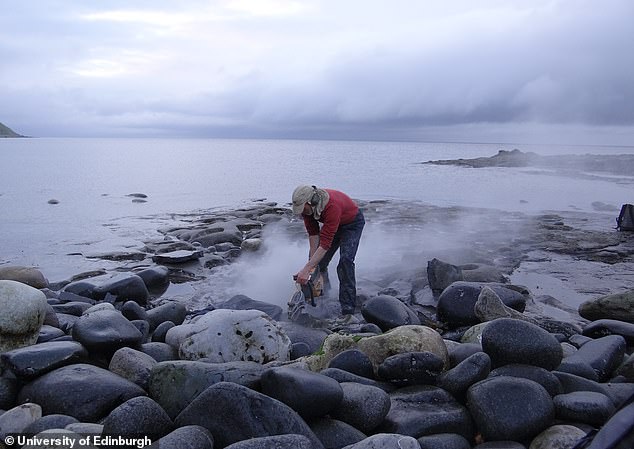 Staffin Dinosaur Museum 