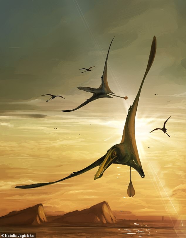 pterodactyl 