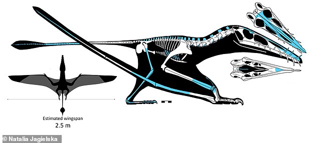 giant winged species 