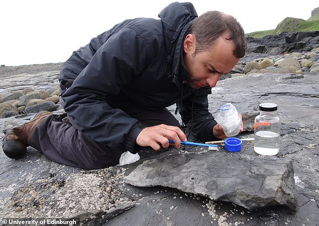 Professor Steve Brusatte