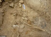 Neolithic fisherman who died 5,000 years ago 'drowned in saltwater', forensic test revealed