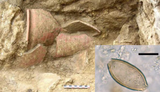 Archaeology: Roman 'PORTALOO' contains 'crusty material' with 1,500-year-old intestinal parasites