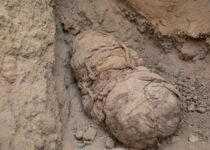 Ancient mummies of likely child sacrifices unearthed in Peru