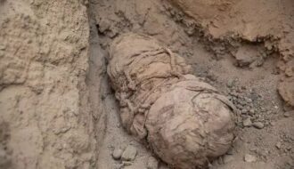 Ancient mummies of likely child sacrifices unearthed in Peru